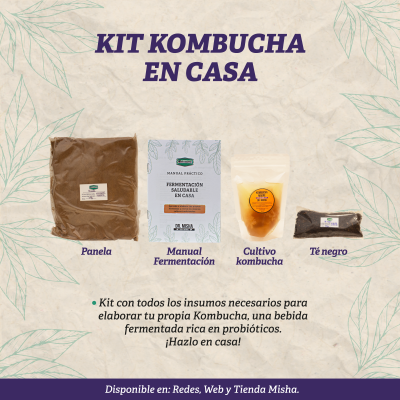 Kit Kombucha